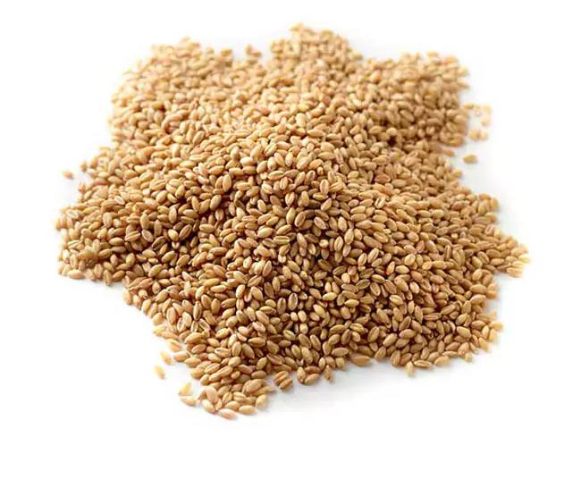 Bài Thuốc Từ Hạt Lúa Mì