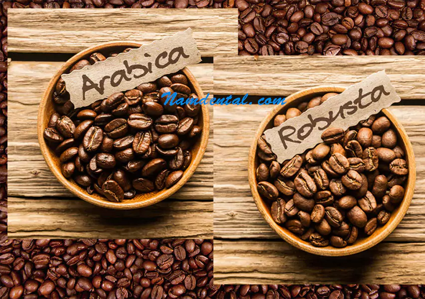 Cà phê Robusta rang mộc nguyên chất
