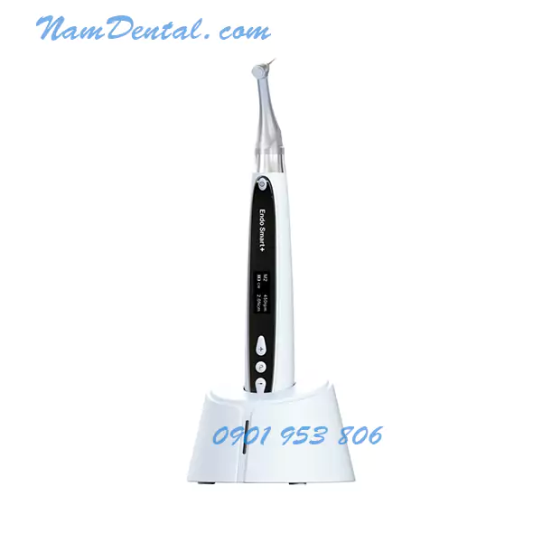 Woodpecker Endo Smart 01